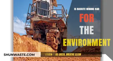 Bauxite Mining's Environmental Impact: Sustainable Practices or Ecological Threat?