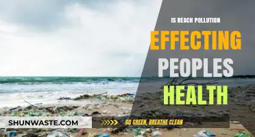 Beach Pollution: Impacting Health and Wellbeing