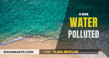 Is Beach Water Safe? Unveiling the Truth