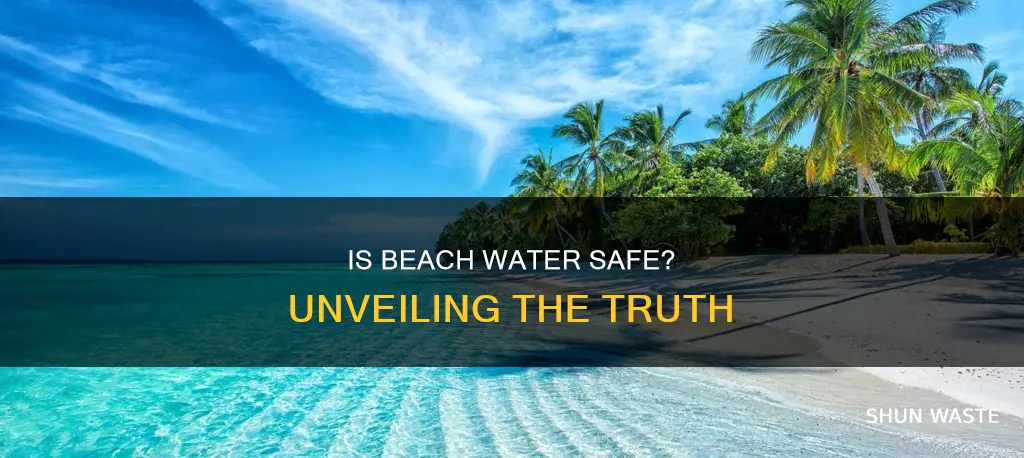 is beach water polluted