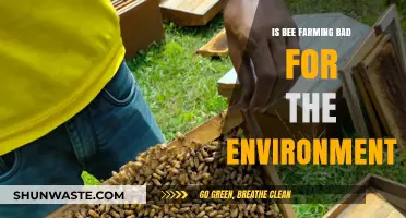 Bee Farming and the Environment: Sustainable Practice or Ecological Threat?