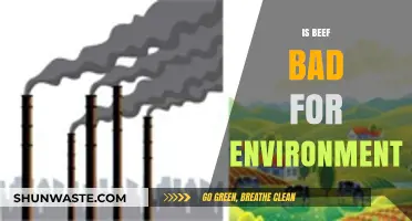 Beef's Environmental Impact: Uncovering the Truth Behind Its Ecological Footprint