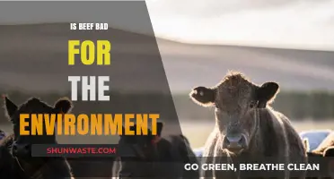 Beef's Environmental Impact: Uncovering the Truth Behind Its Ecological Footprint