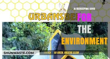 Beekeeping's Environmental Impact: Pollination, Biodiversity, and Ecosystem Benefits Explored