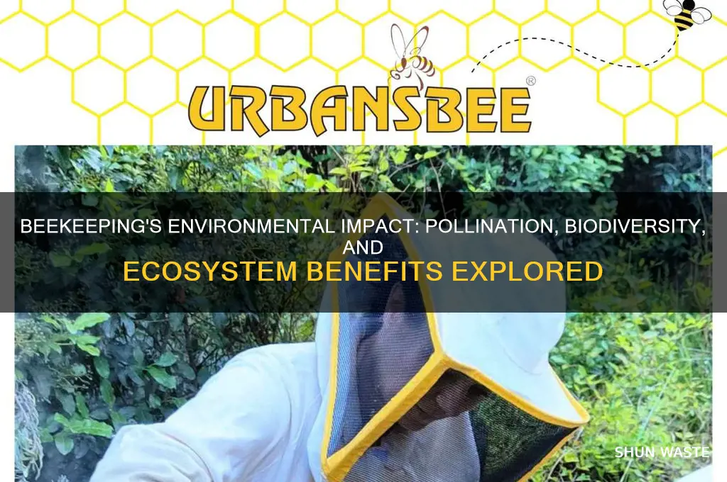 is beekeeping good for the environment
