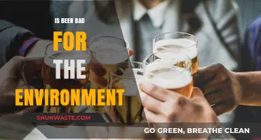 Is Beer Eco-Friendly? Uncovering Its Environmental Impact and Sustainability