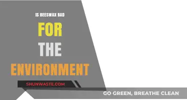 Is Beeswax Eco-Friendly? Environmental Impact and Sustainable Alternatives
