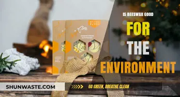 Is Beeswax an Eco-Friendly Alternative? Exploring Its Environmental Impact