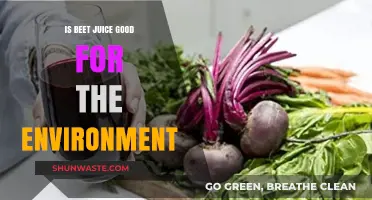 Beet Juice's Eco-Friendly Impact: Sustainable Benefits for Our Planet