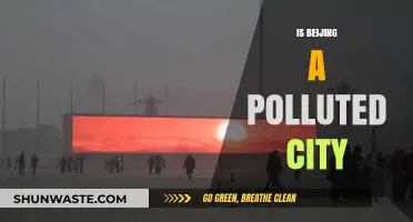 Beijing's Pollution Problem: A City's Battle