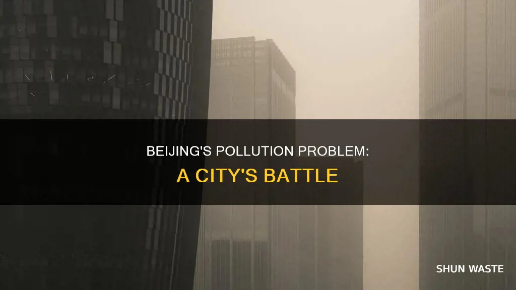 is beijing a polluted city