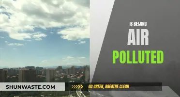 Beijing's Air Quality: Is It Safe to Breathe?