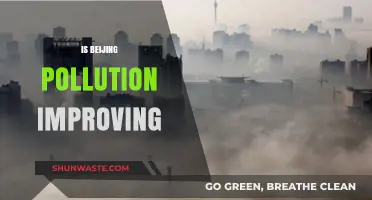 Beijing's Pollution: Is the City's Air Improving?