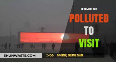 Beijing's Pollution: Should You Avoid Visiting?