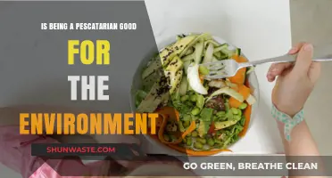 Pescatarian Diets: Eco-Friendly Choice or Environmental Dilemma?