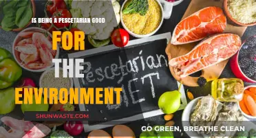 Pescetarian Diet: Eco-Friendly Choice or Environmental Dilemma?