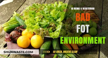 Is Vegetarianism Eco-Friendly? Debunking Myths About Plant-Based Diets