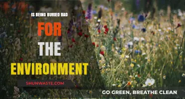 Eco-Friendly Farewells: Are Traditional Burials Harming Our Planet?