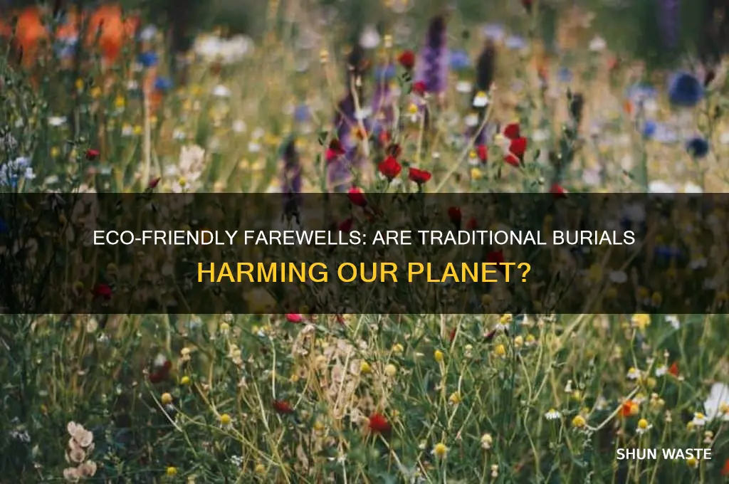 is being buried bad for the environment