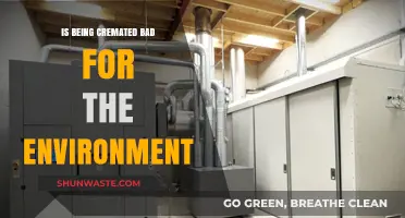 Cremation vs. Environment: Uncovering the Ecological Impact of Cremation