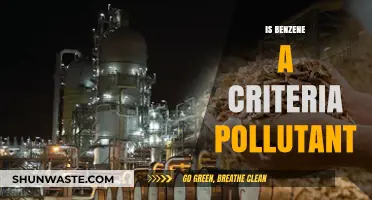 Benzene: A Criteria Air Pollutant?