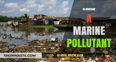 Benzene's Marine Pollution Impact: A Concern?