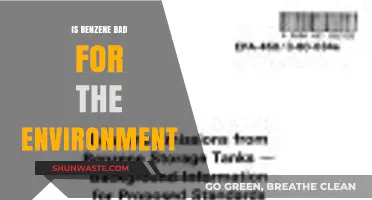 Is Benzene Harmful? Environmental Impacts and Concerns Explained