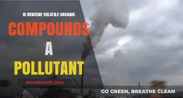 Benzene Volatile Organic Compounds: A Hidden Pollutant?