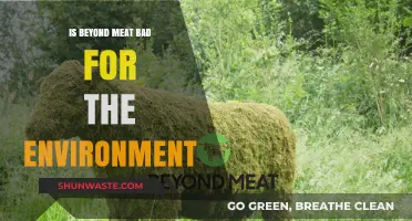 Beyond Meat's Environmental Impact: Sustainable Choice or Hidden Harm?