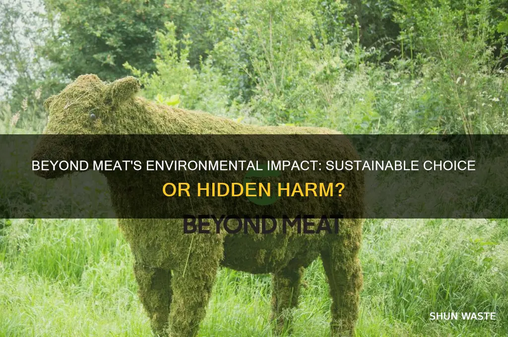 is beyond meat bad for the environment