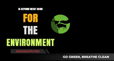 Beyond Meat's Environmental Impact: Sustainable Choice or Greenwashing?