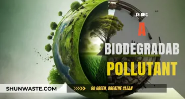 BHC's Biodegradable Mystery: Understanding its Environmental Impact