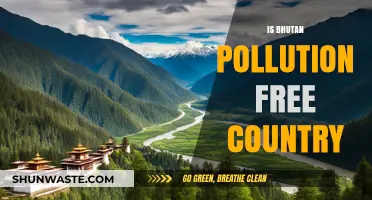 Bhutan: A Pollution-Free Country?