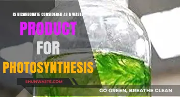 Is Bicarbonate a Waste Product in Photosynthesis? Exploring the Science