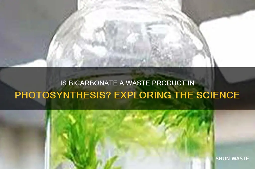 is bicarbonate considered as a waste product for photosynthesis
