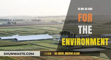 Big Ag's Environmental Impact: Sustainable or Detrimental to Our Planet?