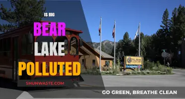 Big Bear Lake's Pollution Problem: Is It Getting Worse?