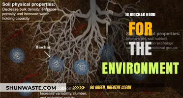 Biochar's Environmental Impact: Sustainable Solution or Greenwashing Myth?