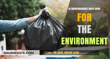 Are Biodegradable Bags Truly Eco-Friendly? Uncovering Environmental Impacts