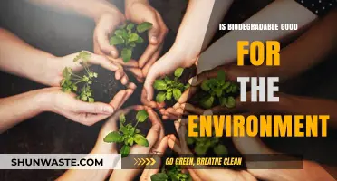 Biodegradable Products: Eco-Friendly Solution or Environmental Myth?