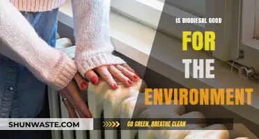 Biodiesel's Environmental Impact: A Sustainable Fuel Alternative or Greenwash?