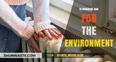 Is Biodiesel Eco-Friendly? Uncovering Its Environmental Impact and Sustainability