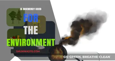 Bioenergy's Environmental Impact: Sustainable Solution or Hidden Threat?