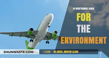 Bioethanol's Environmental Impact: Sustainable Fuel or Greenwashing Myth?