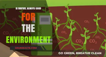 Biofuel's Environmental Impact: A Sustainable Solution or Hidden Hazard?