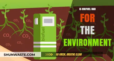 Biofuel's Environmental Impact: Sustainable Solution or Ecological Threat?
