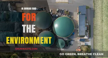 Is Biogas Eco-Friendly? Environmental Impacts and Sustainability Explained