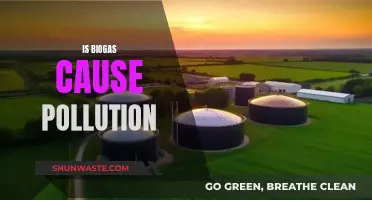 Biogas: A Green Energy or a Hidden Pollutant?