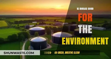 Biogas: An Eco-Friendly Energy Solution for a Greener Future?