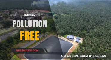 Biogas: Clean Energy or Polluting the Environment?